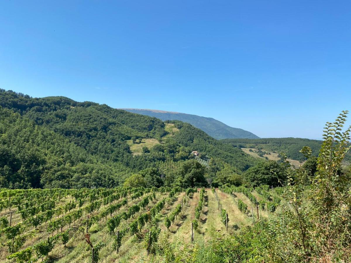 Agriturismo Le Case Assisi Bagian luar foto