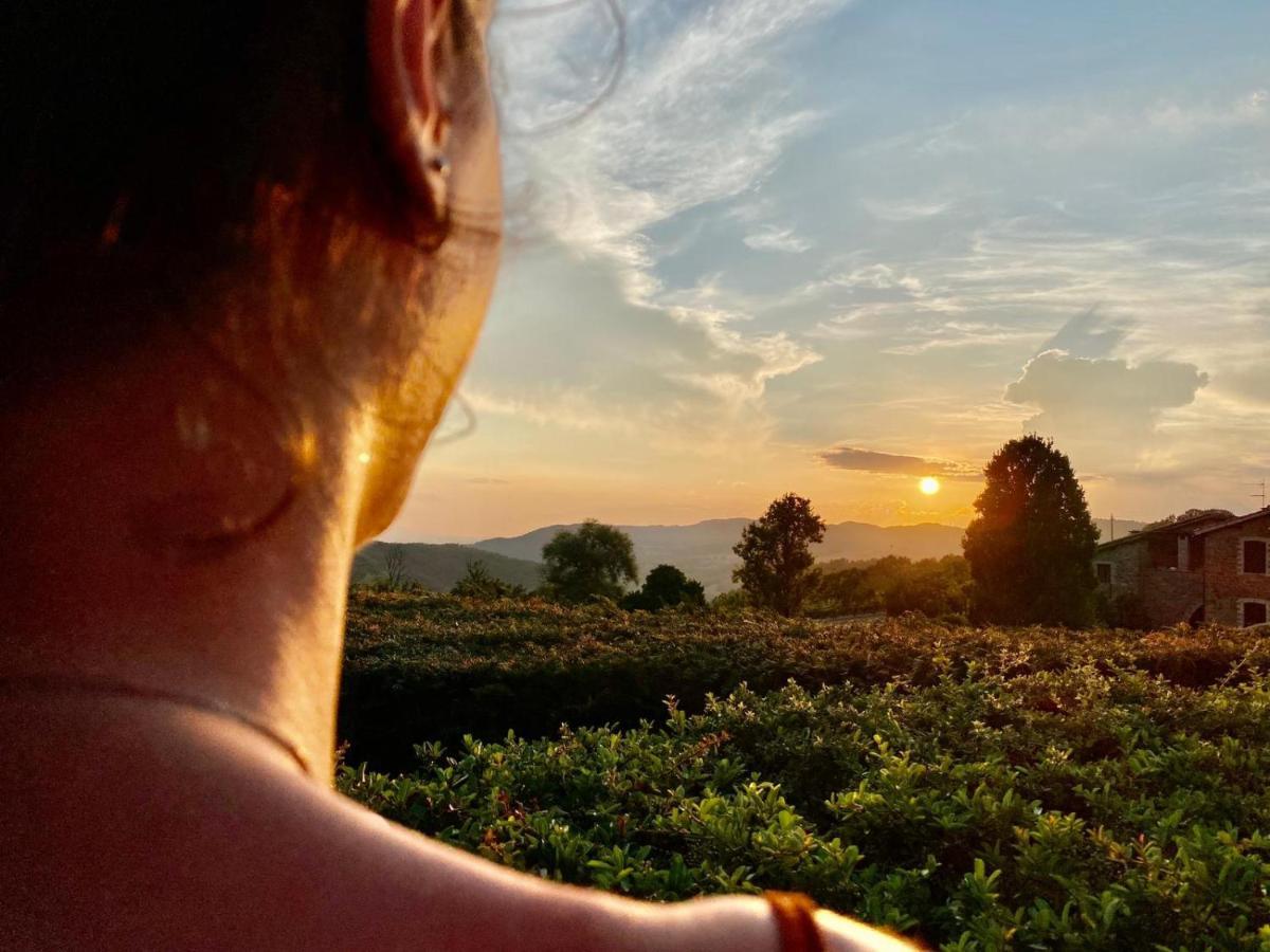 Agriturismo Le Case Assisi Bagian luar foto