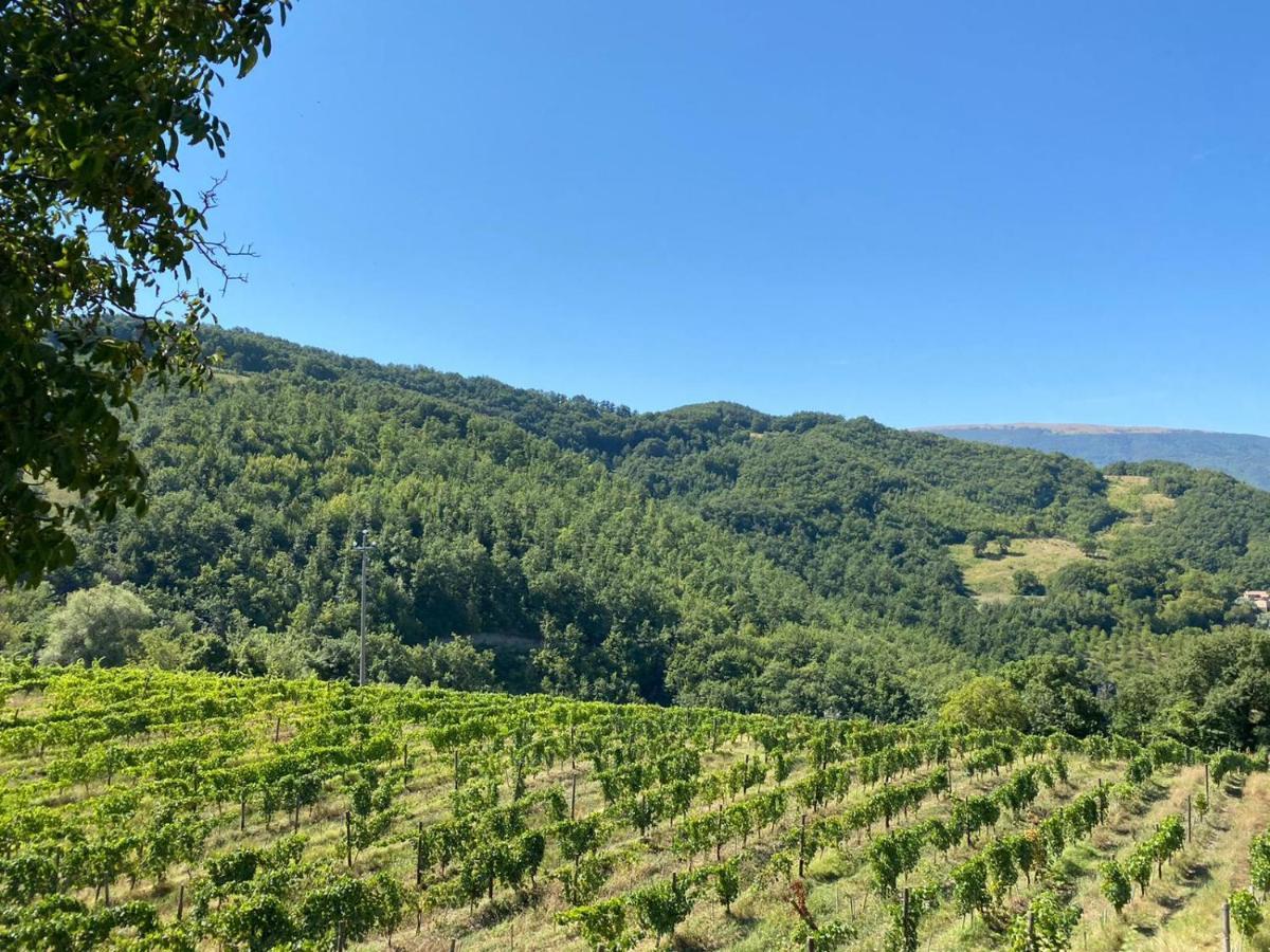 Agriturismo Le Case Assisi Bagian luar foto
