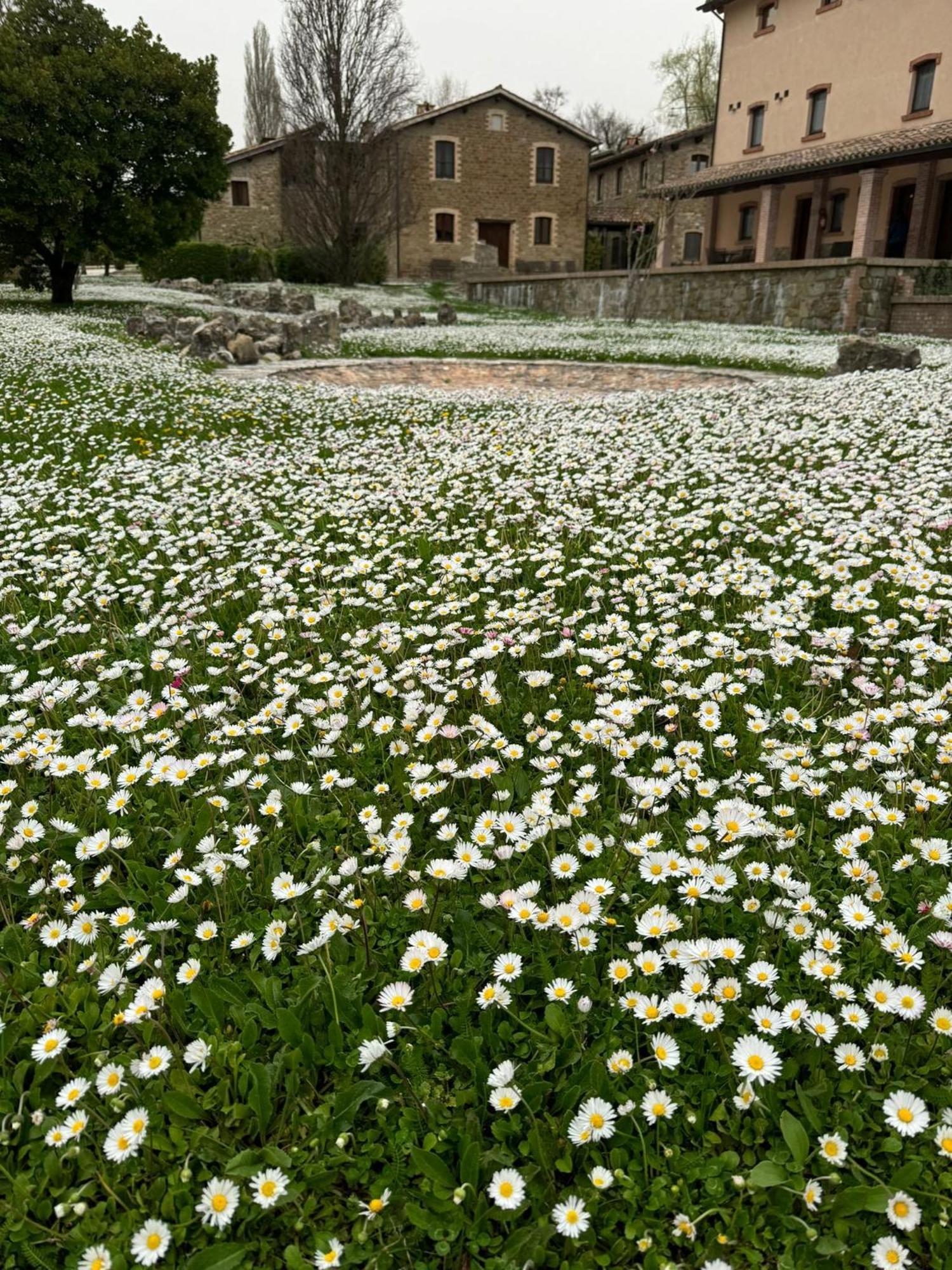 Agriturismo Le Case Assisi Bagian luar foto